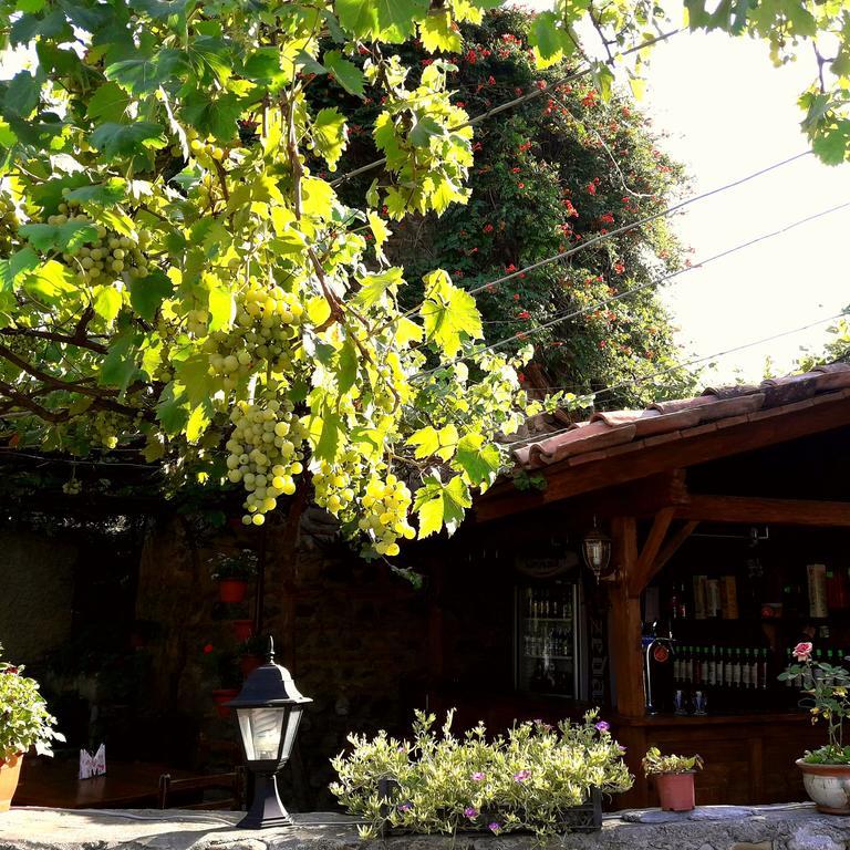 Guest House Kusika Sighnaghi Bagian luar foto